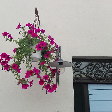 Tambien B&B Pesaro Exteriör bild