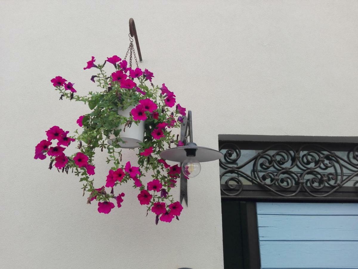 Tambien B&B Pesaro Exteriör bild